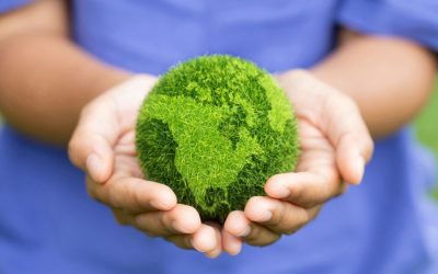 Innowacyjna Kawiarenka – Mozaika Klimatyczna